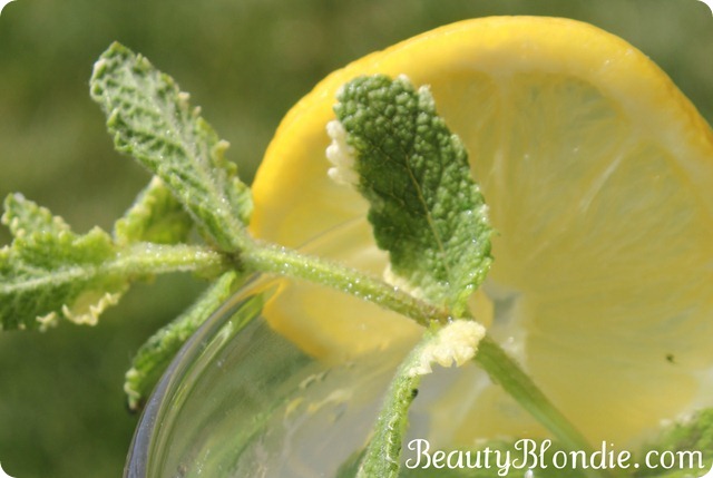 Lemon Mint Infused Water at BeautyBlondie.com