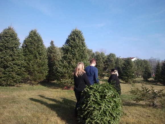 2012-12-02 11.38.10 (1)