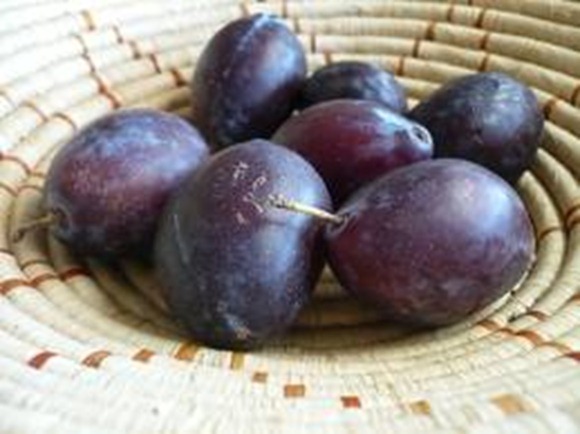 Purple Plums