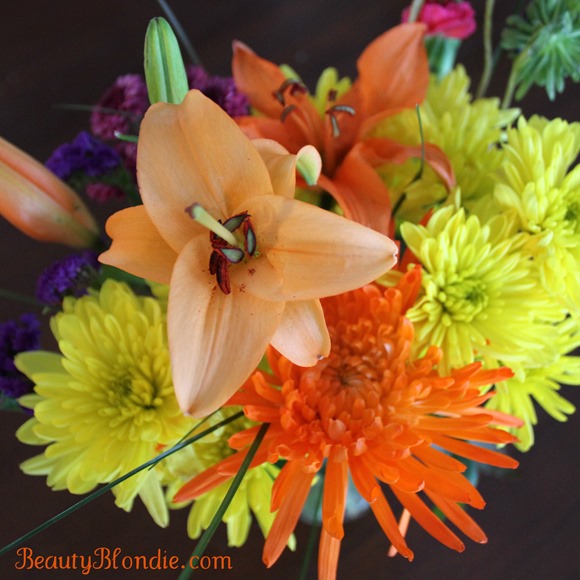 Orange and Yellow Flowers