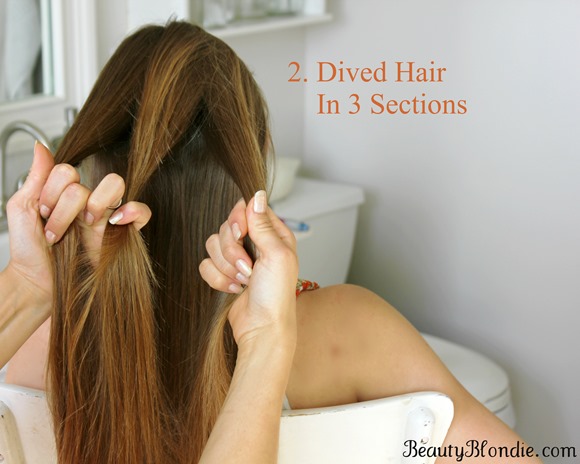 2.Dived Hair in 3 Sections for a French Braid