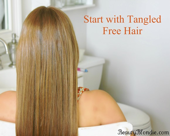Start with Tangled Free Hair for Your Basic Braid 