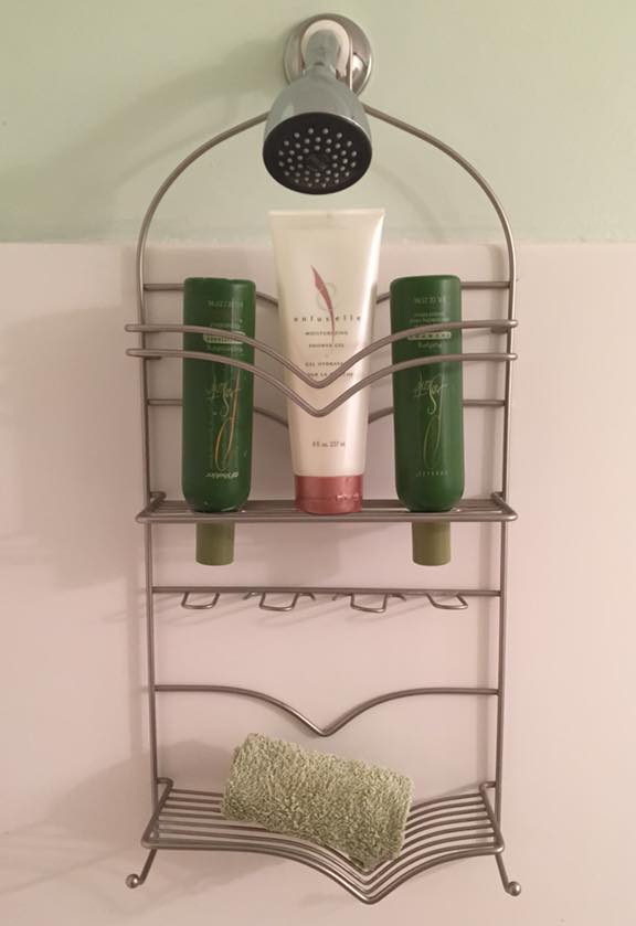 Prosante Shampoo and Conditioner