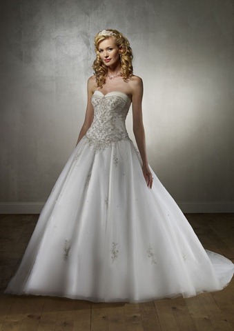 Top 5 Things I am Looking for in a Wedding Dress.